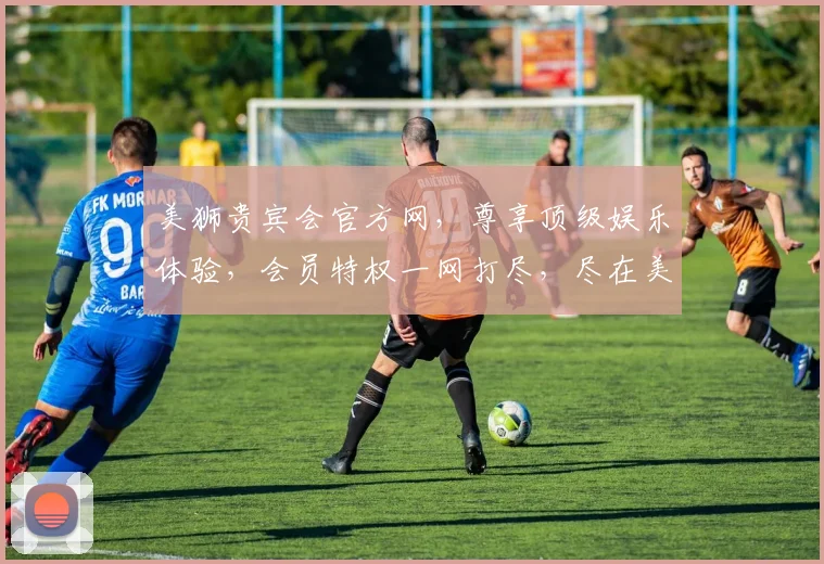 美狮贵宾会官方网，尊享顶级娱乐体验，会员特权一网打尽，尽在美狮贵宾会